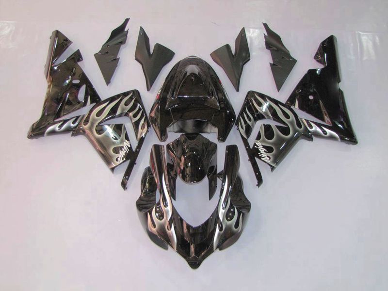 Fairings For Kawasaki Ninja ZX-10R (2004-2005) Black & Silver Flame
