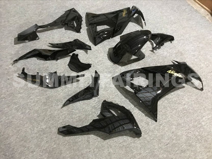 Fairings For Kawasaki ZX-10R, 2008-2009